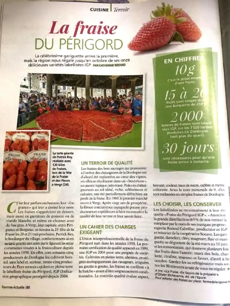 fete de la fraise mois de mai