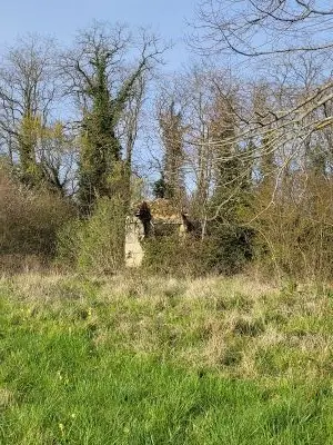 vestiges dernier croquant